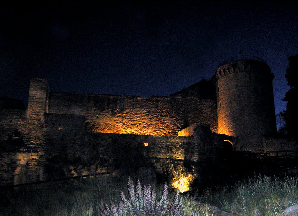 Notturno vista Castello